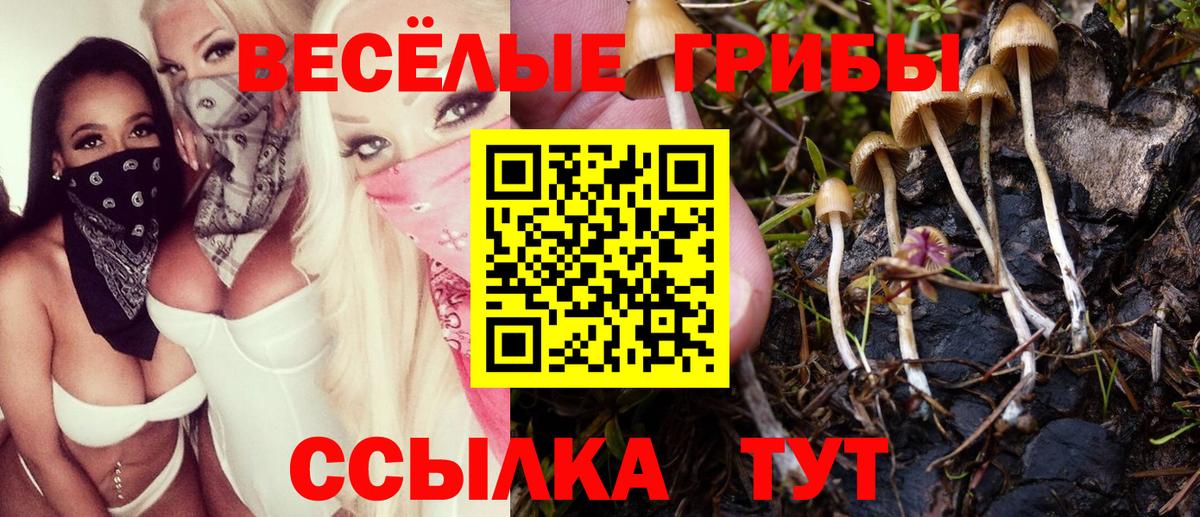 Хабаровск  Псилоцибиновые грибы прущие грибы  Вход с VPN 